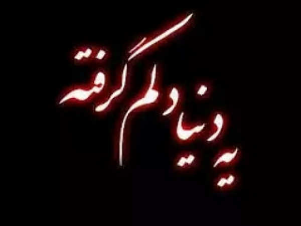 سالار دولتی