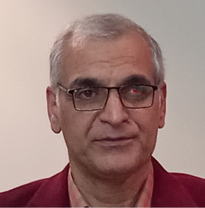 سید حمید گلستانه